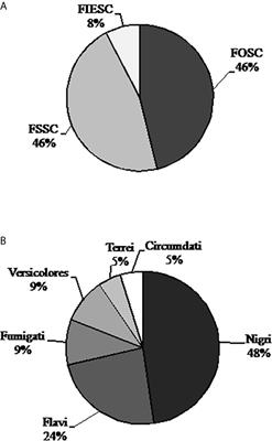 Disinfectants in a Hemodialysis Setting: Antifungal Activity Against Aspergillus and Fusarium Planktonic and Biofilm Cells and the Effect of Commercial Peracetic Acid Residual in Mice